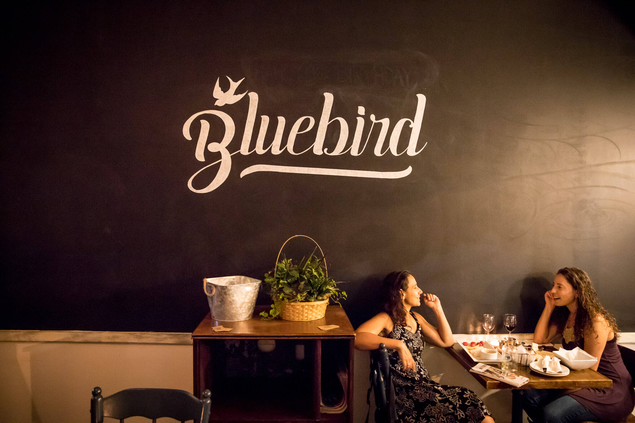 Bluebird Toronto