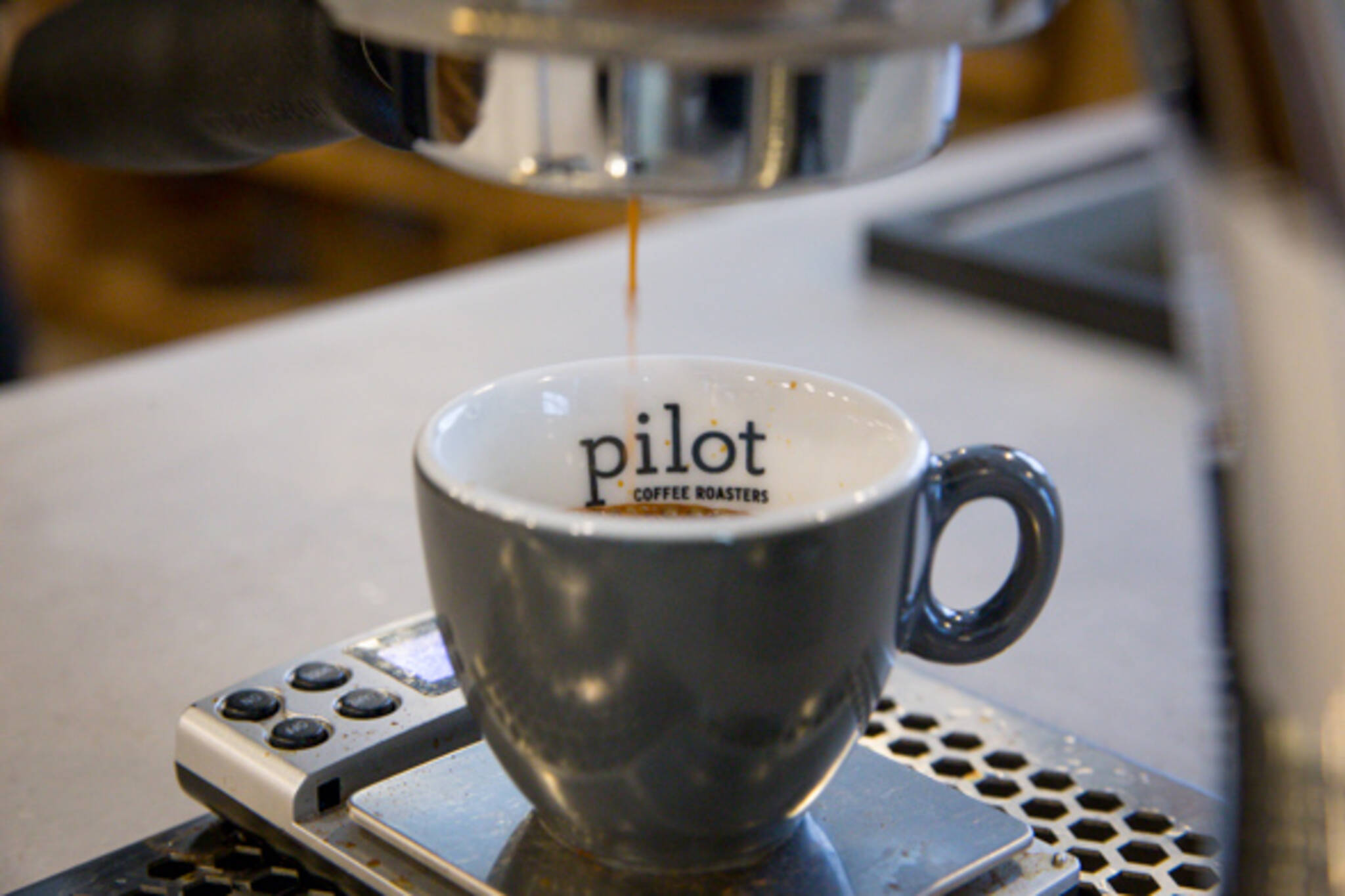 Pilot Coffee Toronto
