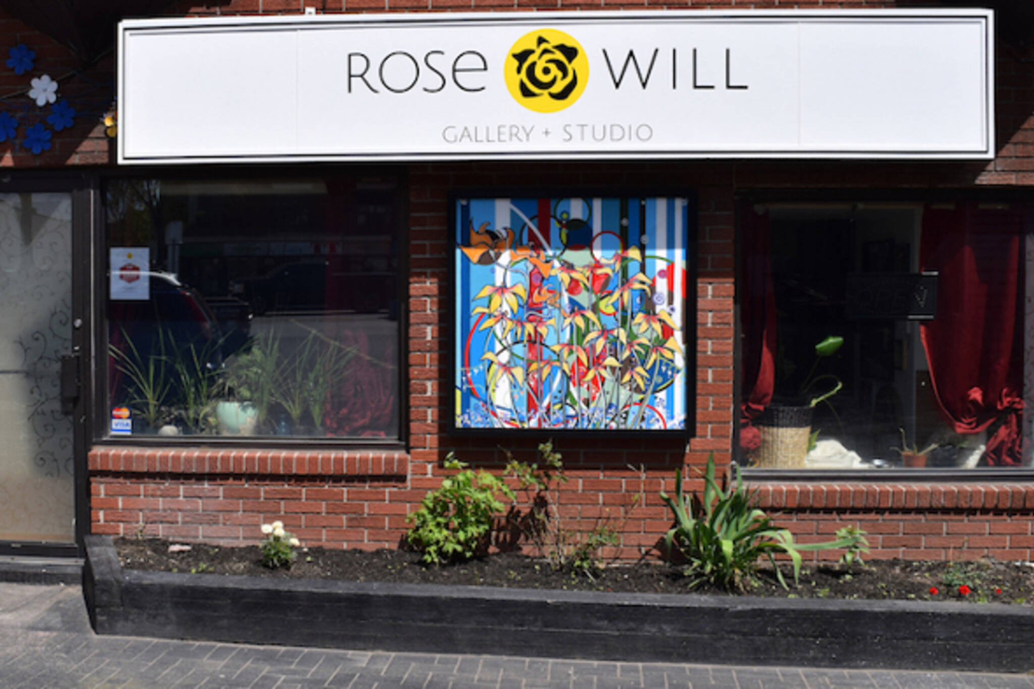 Rose Will Gallery
