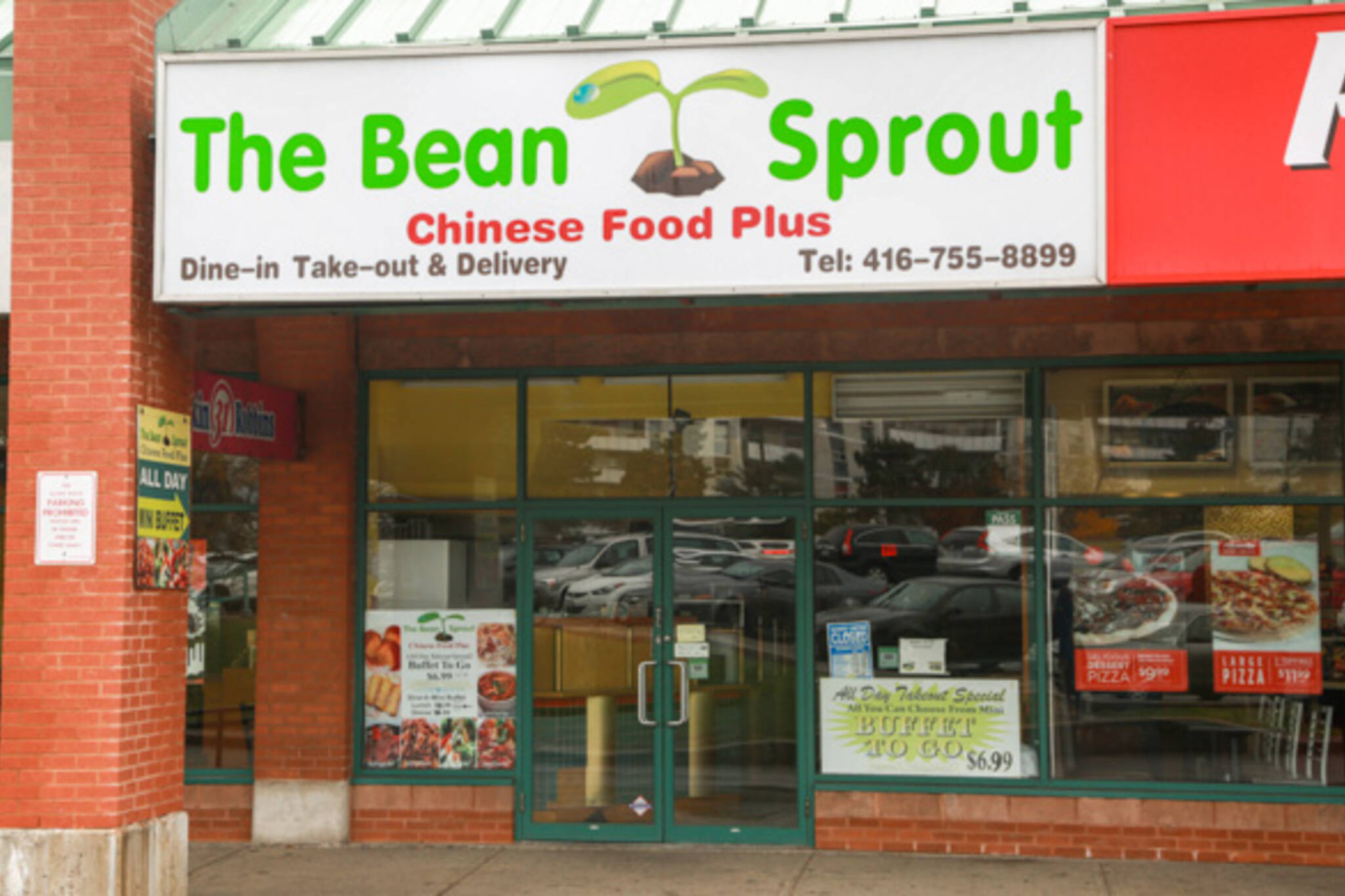 the bean sprout