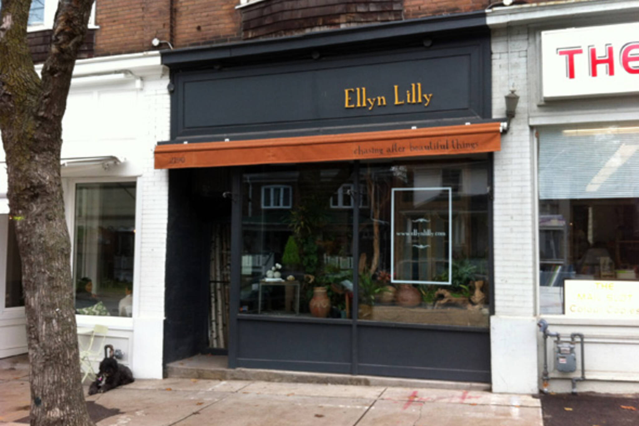 20121113-ellyn-lilly.jpg