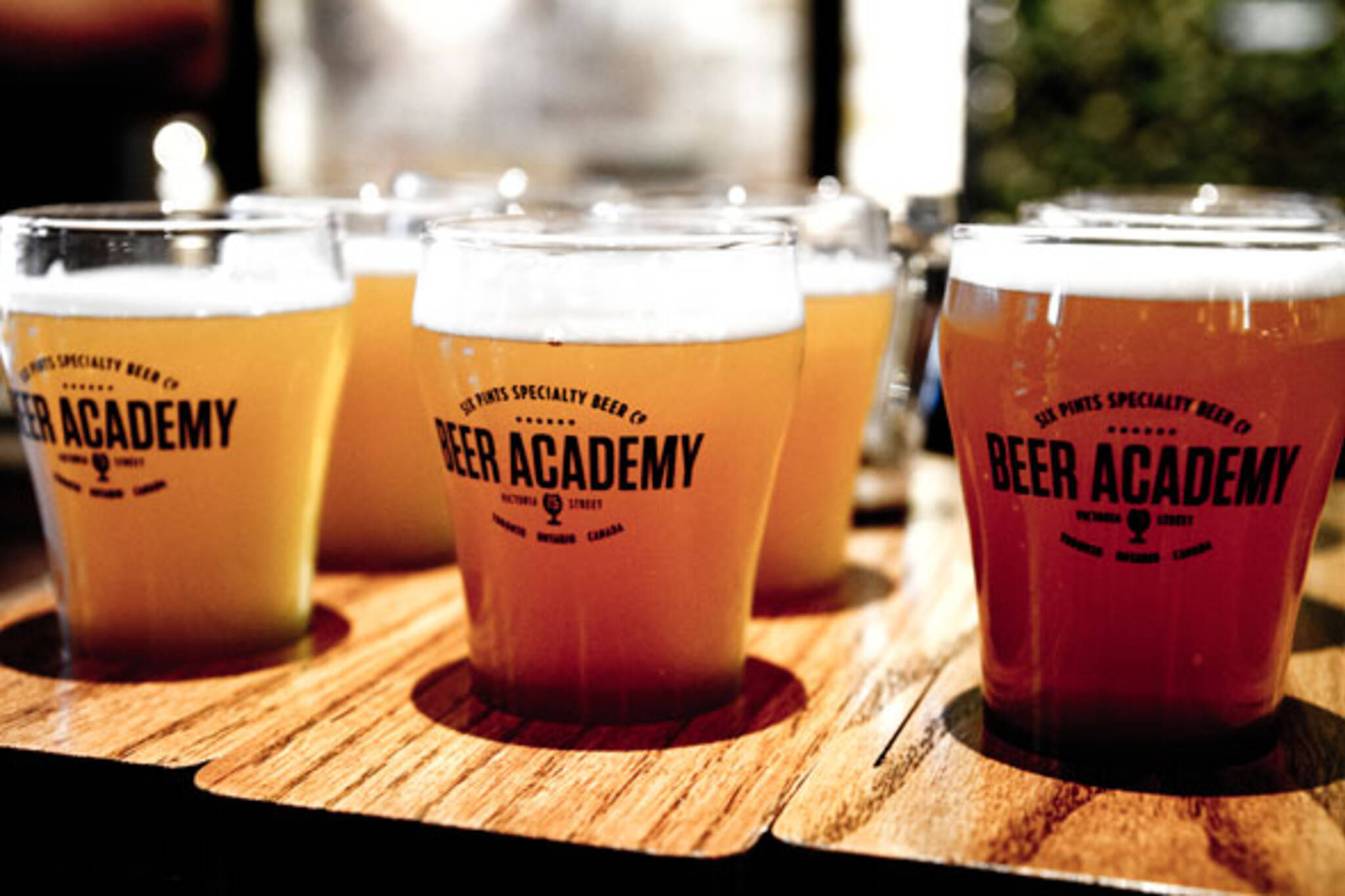 the beer academy toronto