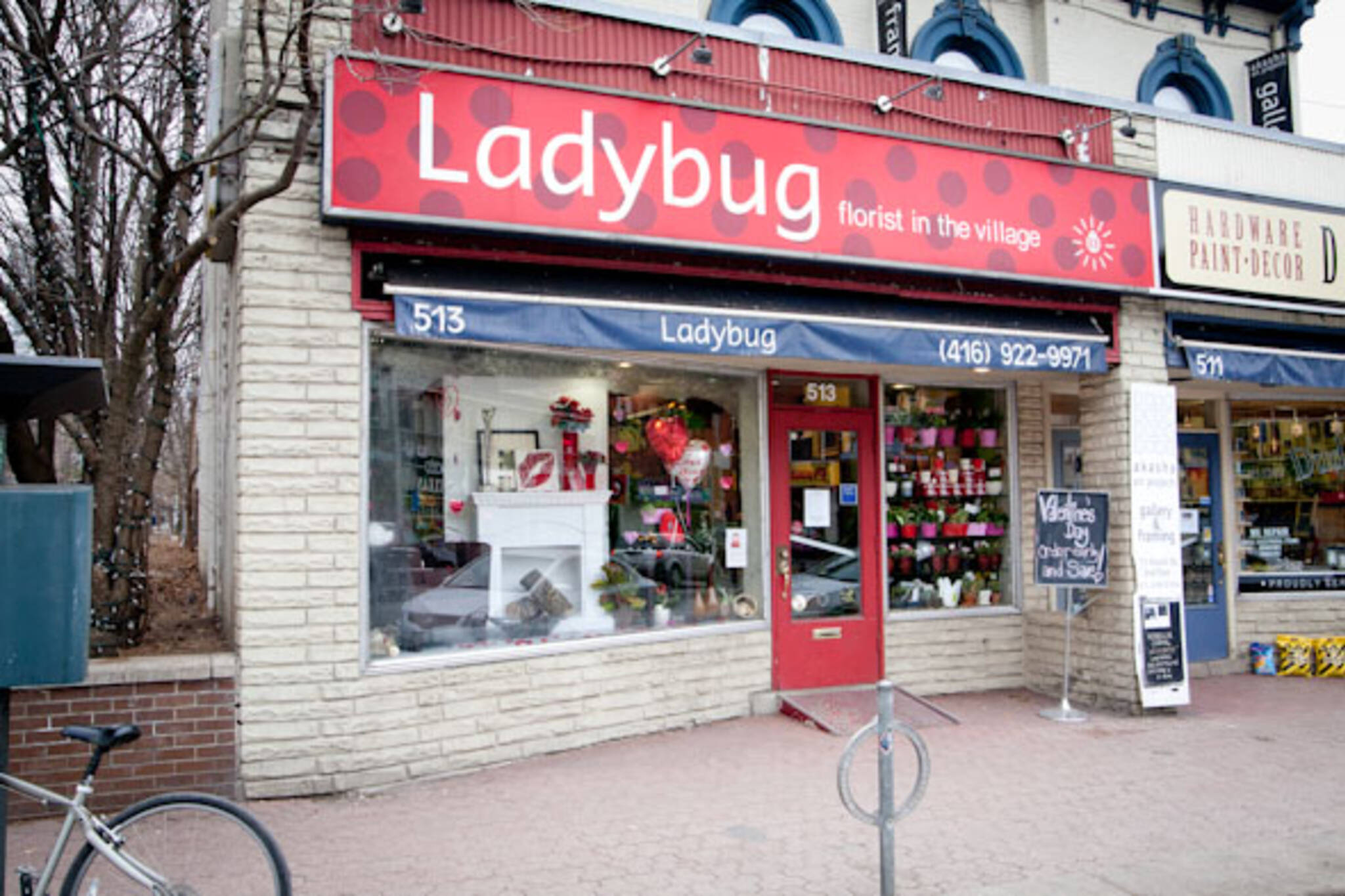 Ladybug Florist Toronto