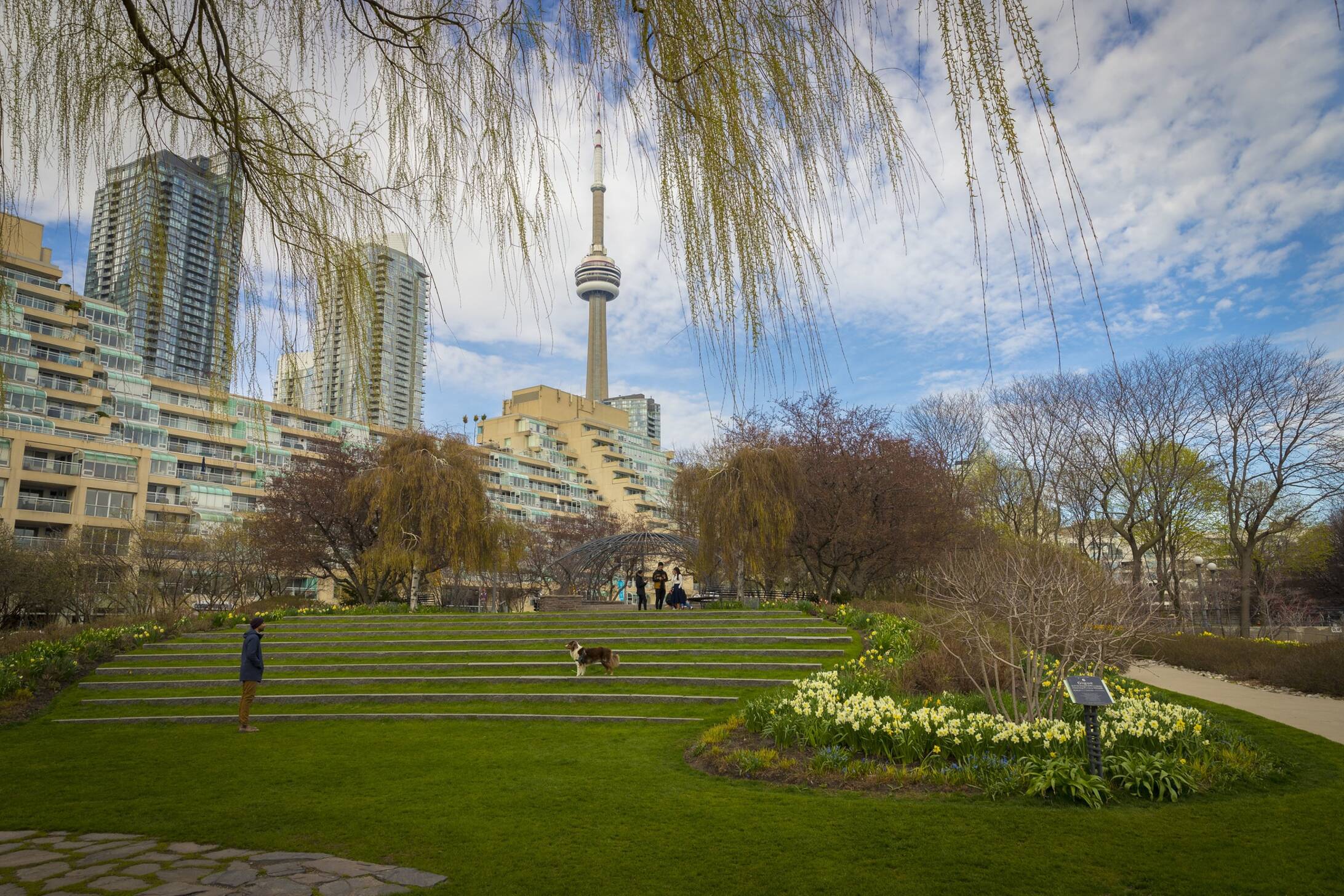The Most Beautiful Places In Toronto 1416