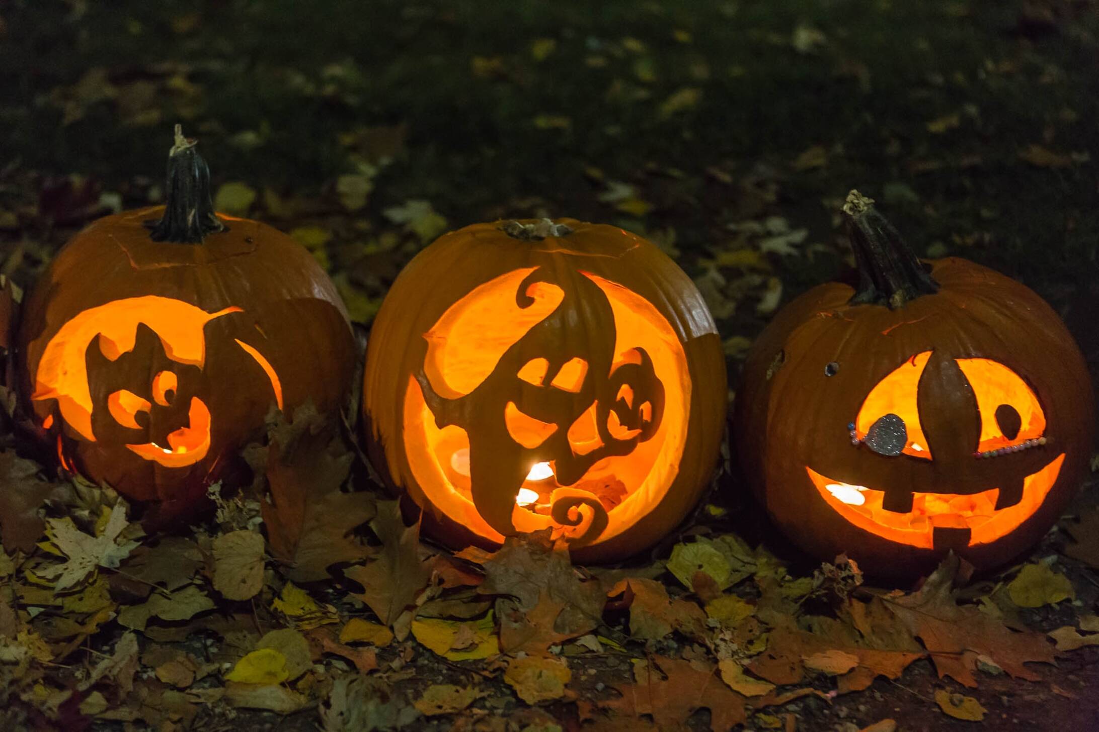 Sorauren Park Pumpkin Parade 