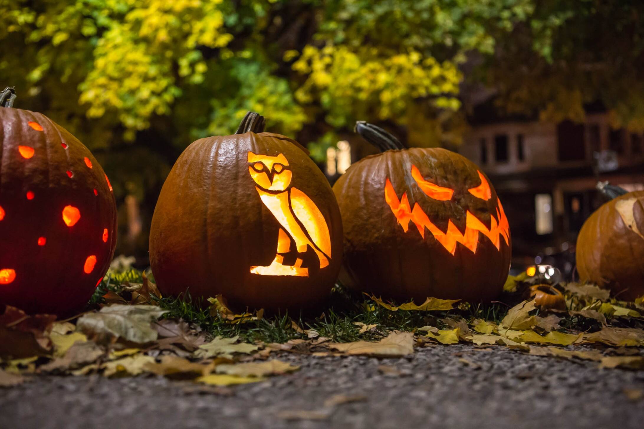 Sorauren Park Pumpkin Parade