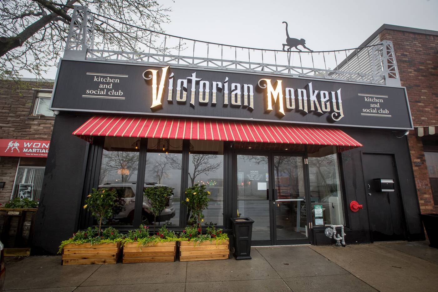 Victorian Monkey Toronto