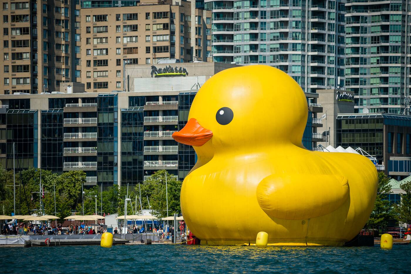 World's largest rubber duck is back at Toronto's Waterfront