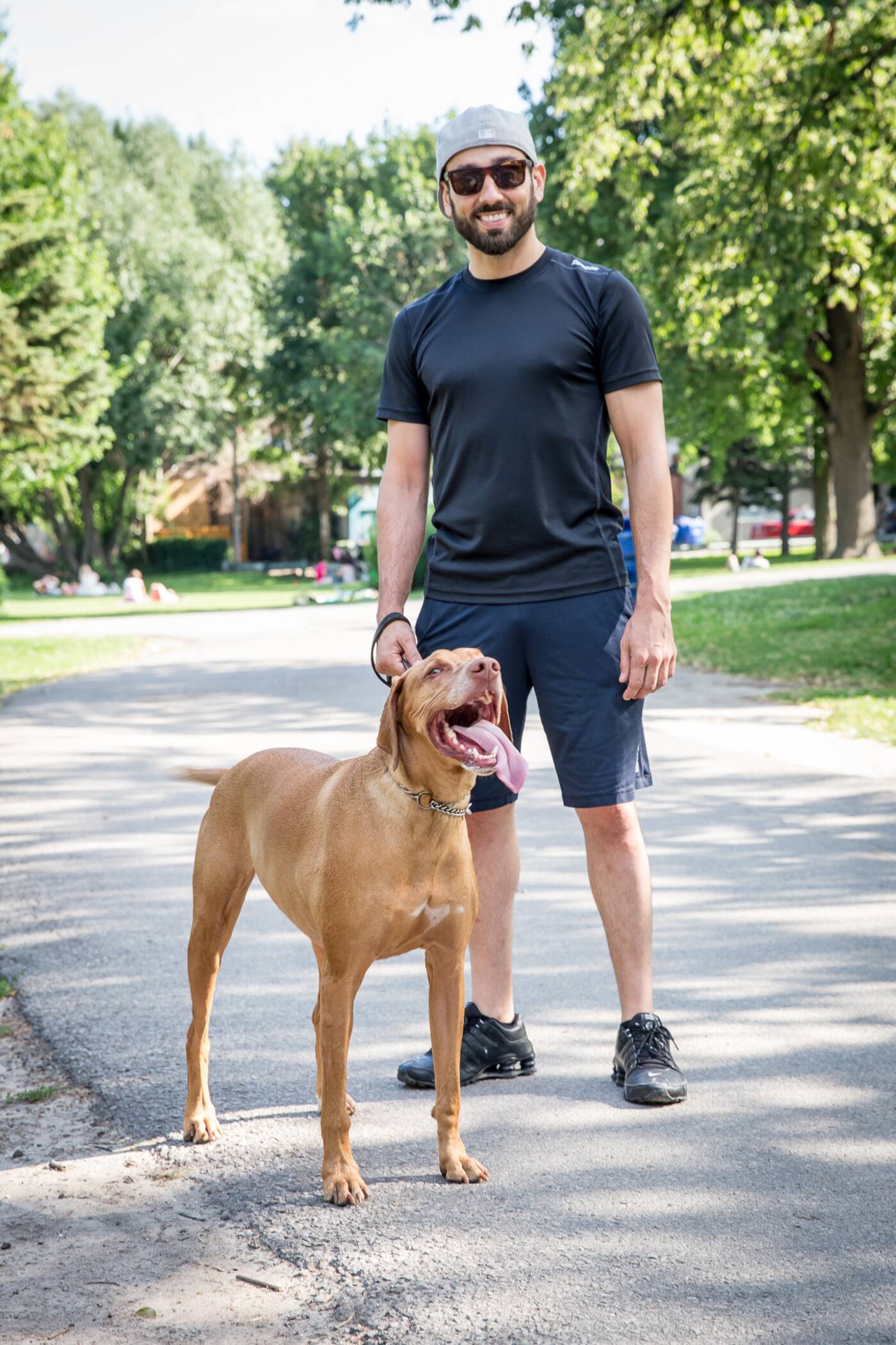Toronto Dog Owner