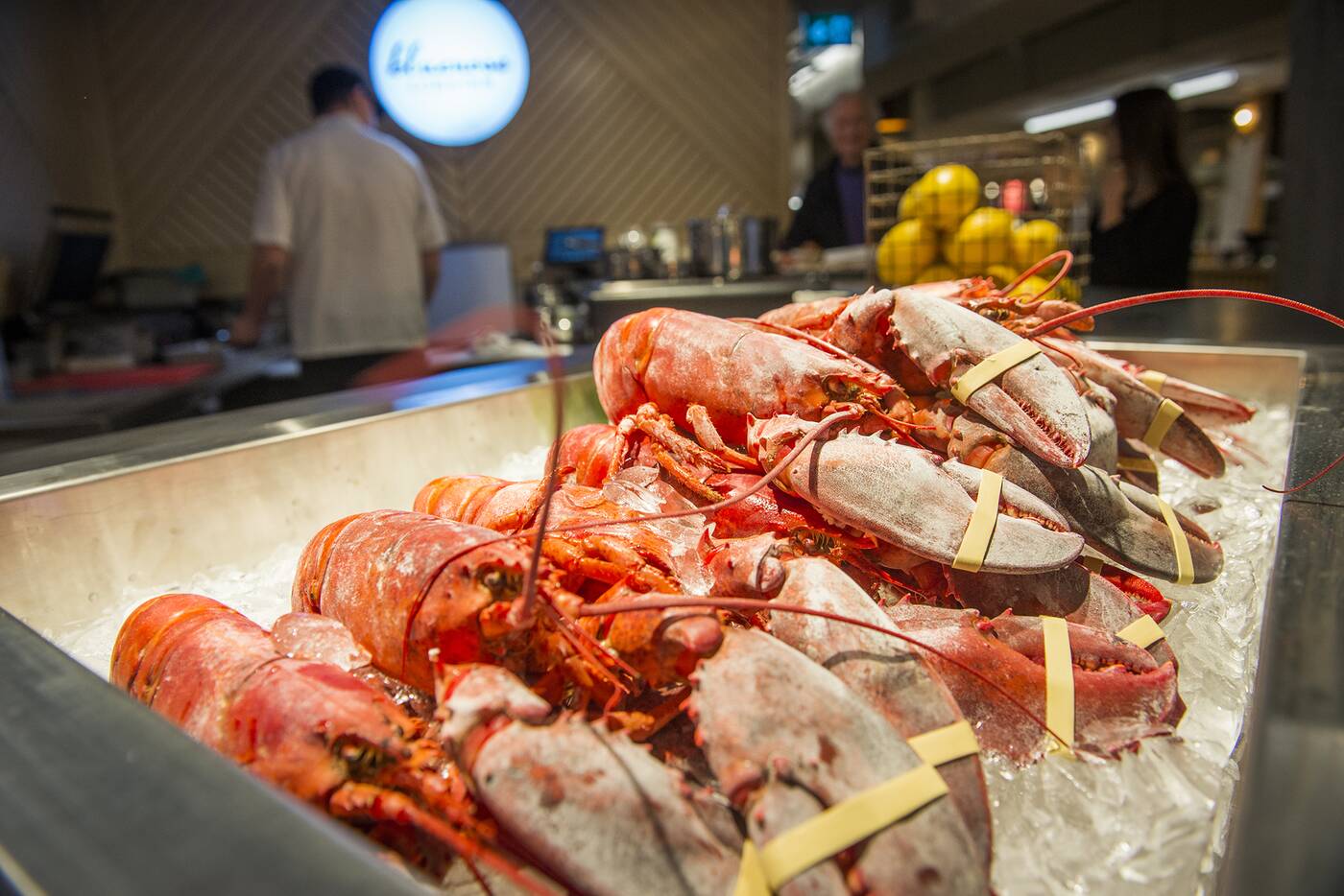 bluenose lobster toronto
