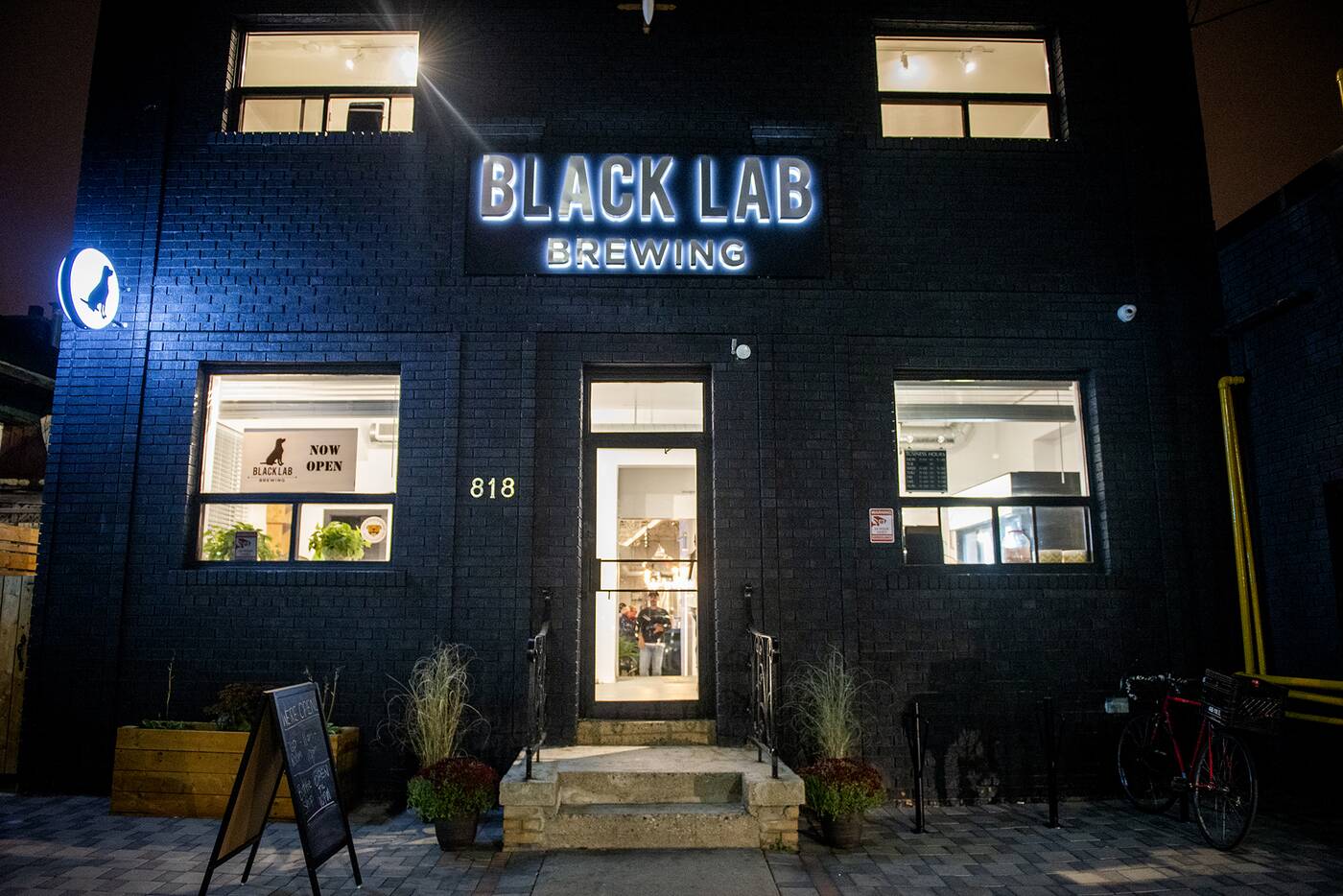 黑色实验室酿造多伦多