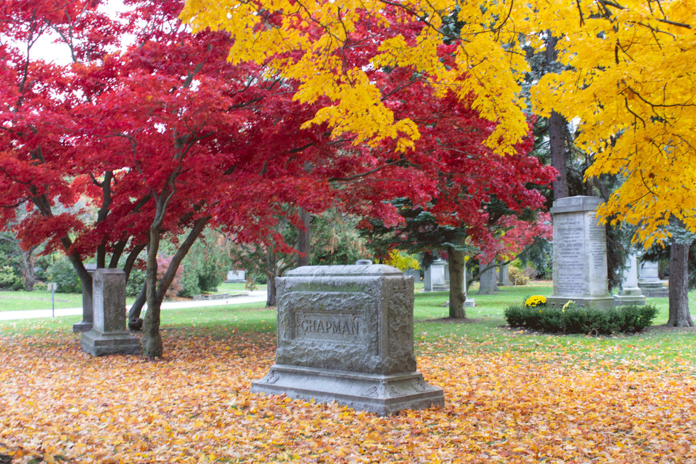mount pleasant cemetery