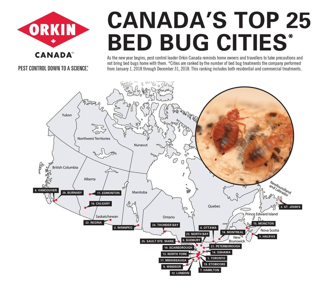 orkin bed bugs