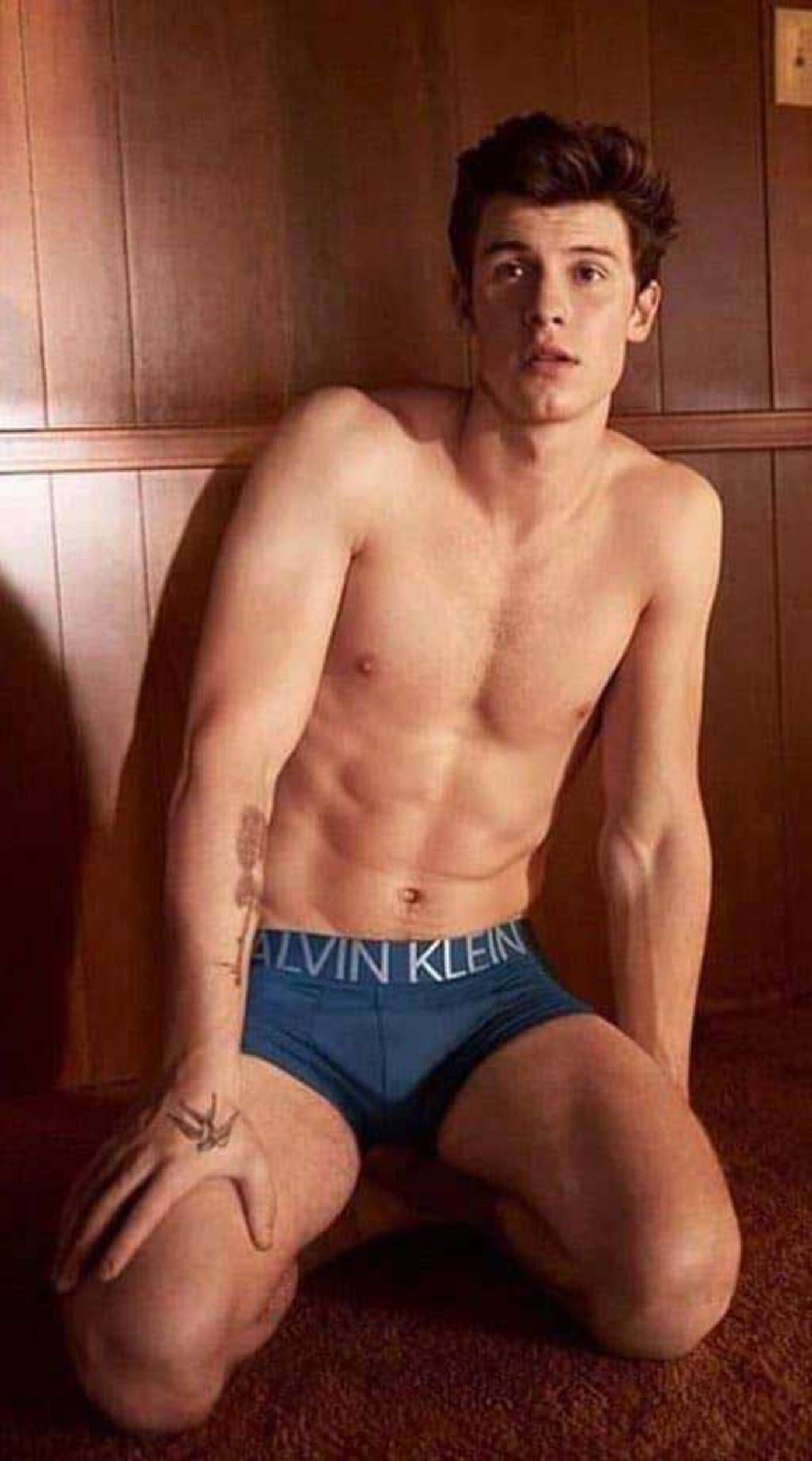 Shawn Mendes is face Calvin underwear