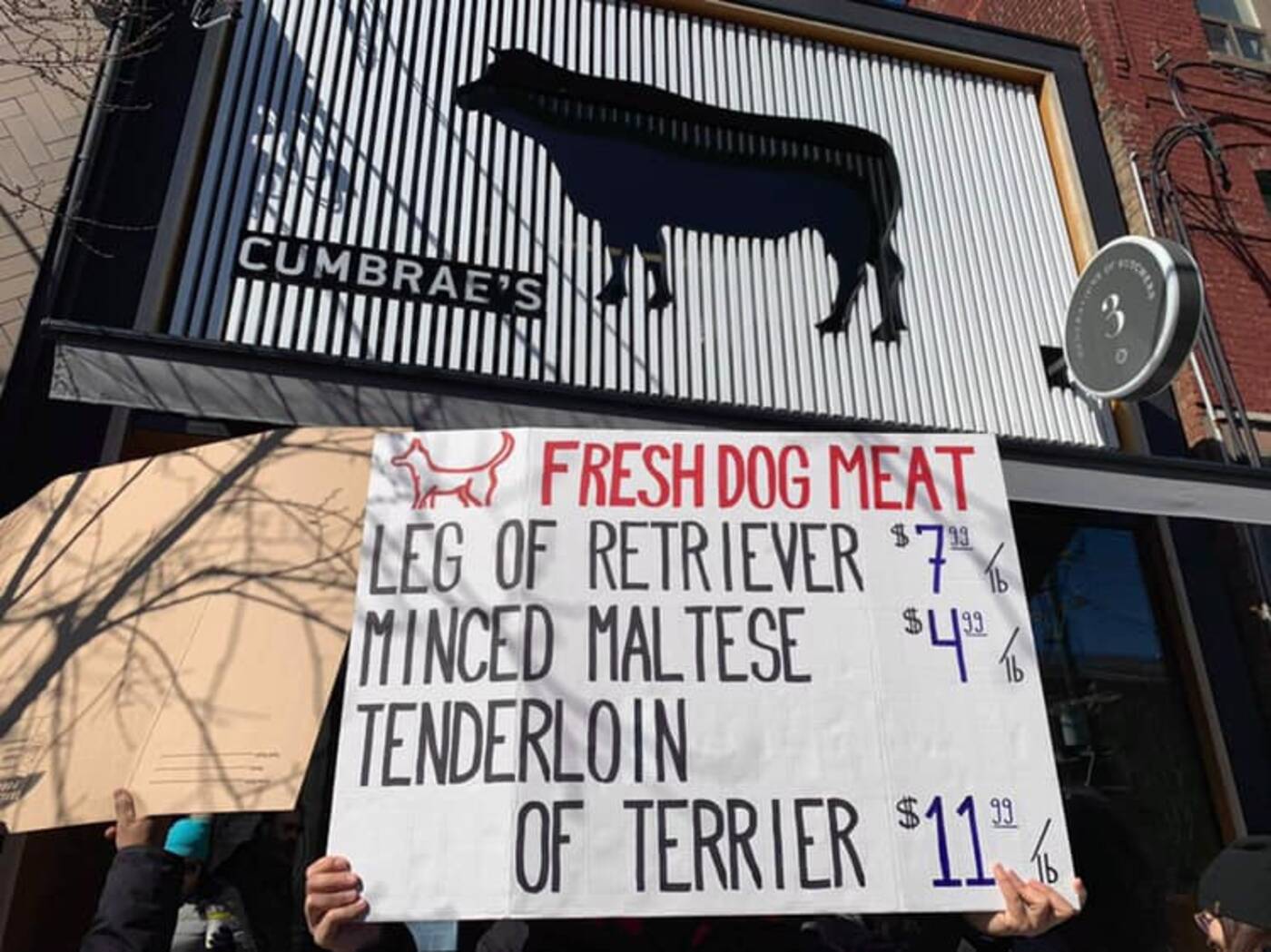 dog meat toronto