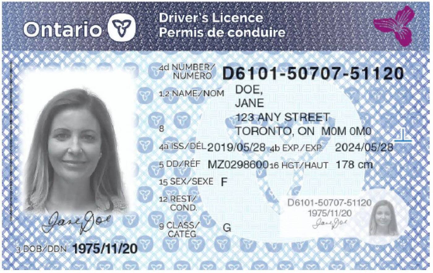 ontario new licence