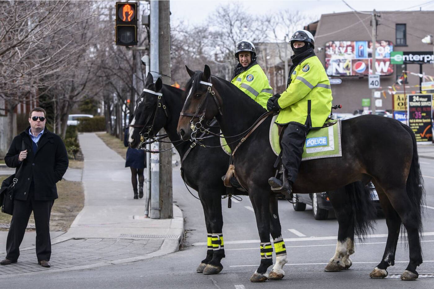 mounted police toronto