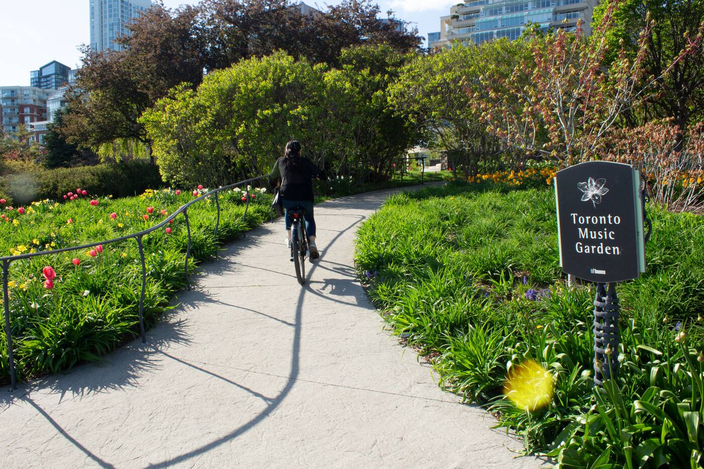 Toronto Music Garden Is The Serene Bach Inspired Park By The