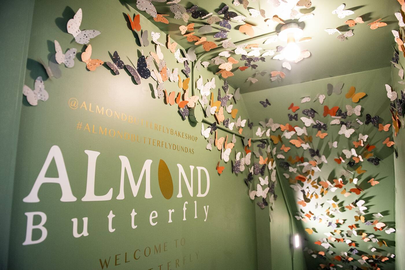 Almond Butterfly Toronto