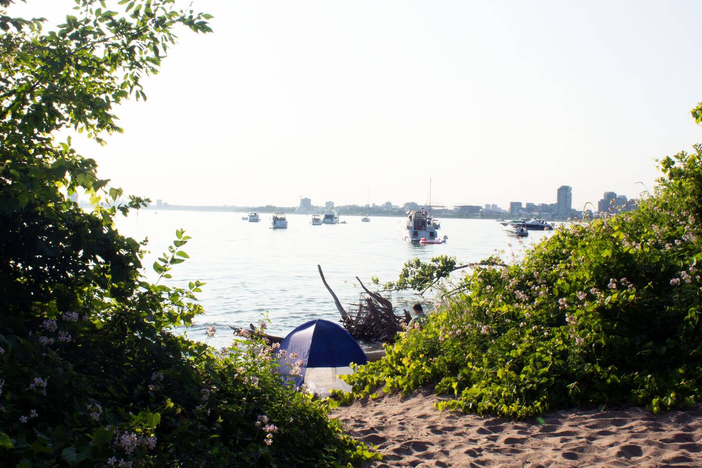 Beach Swingers Naked - Hanlan's Point is the Toronto Island's famous nude beach