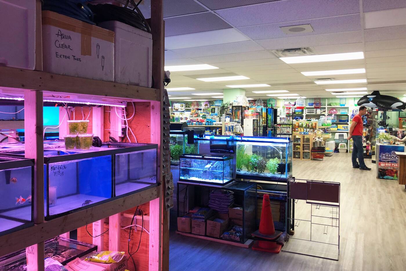 Toronto's most famous pet store and aquarium just reopened