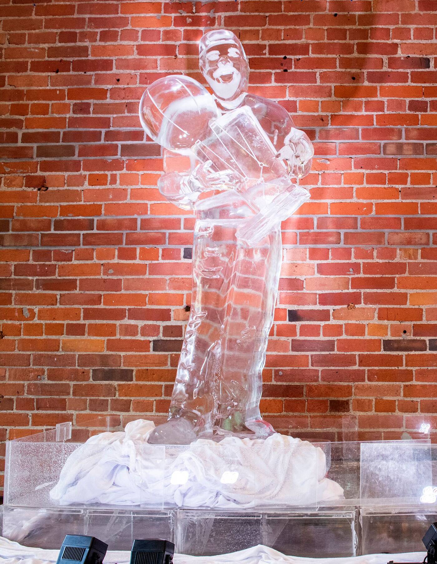 drake ice sculpture