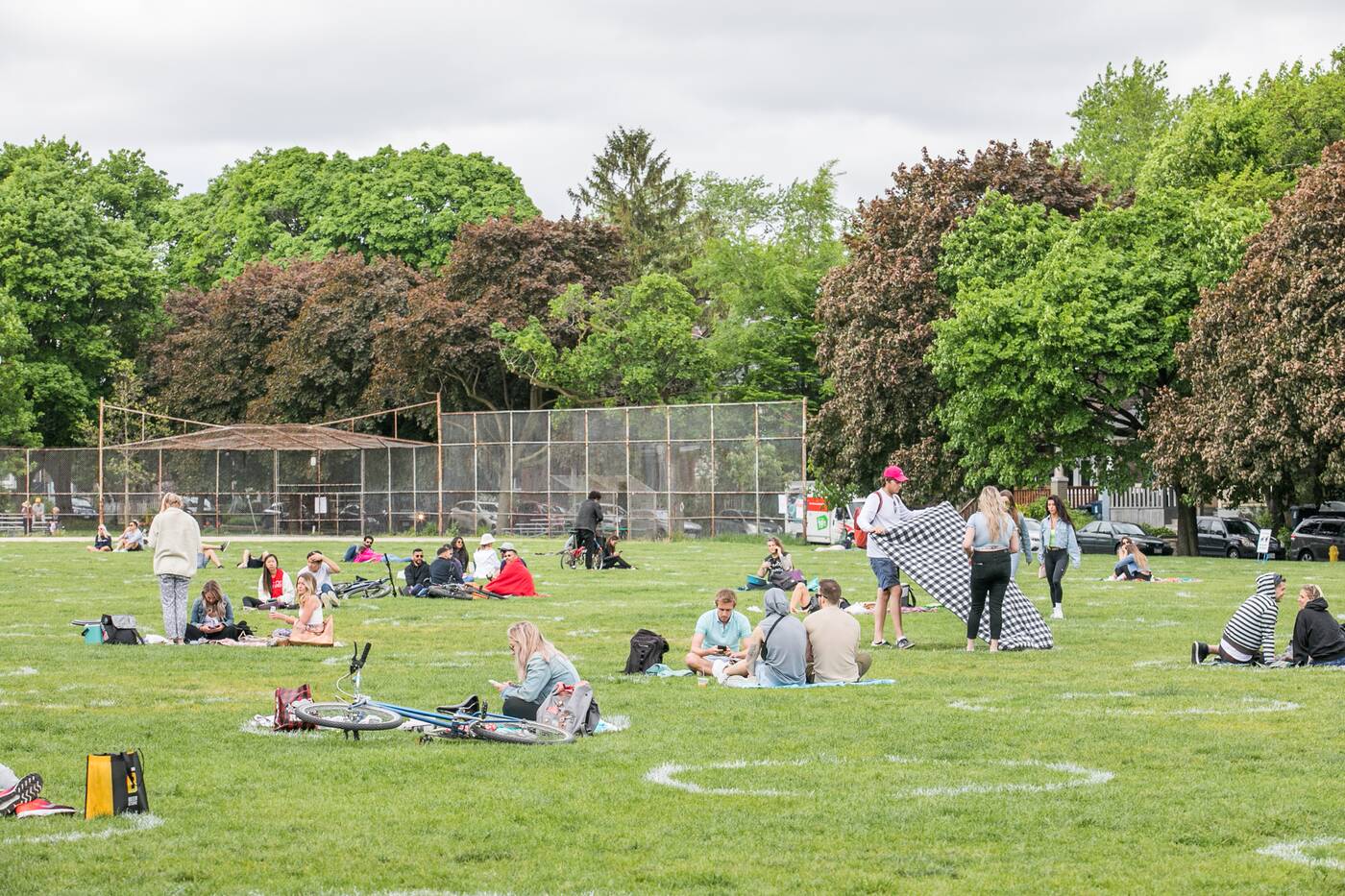 This is what Trinity Bellwoods looks like on its first ...