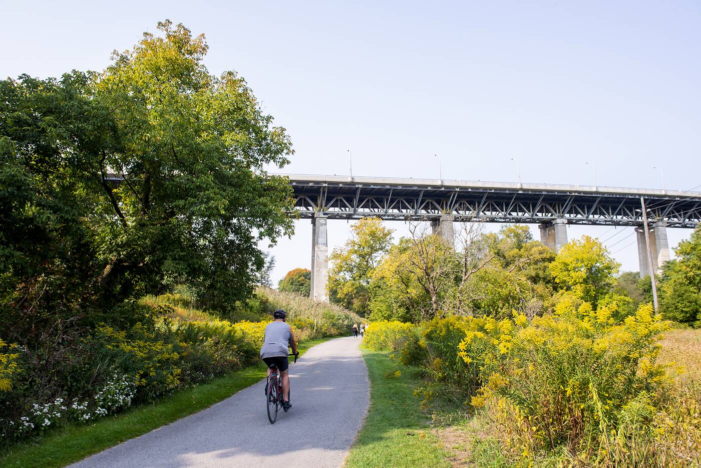 lower don river trail