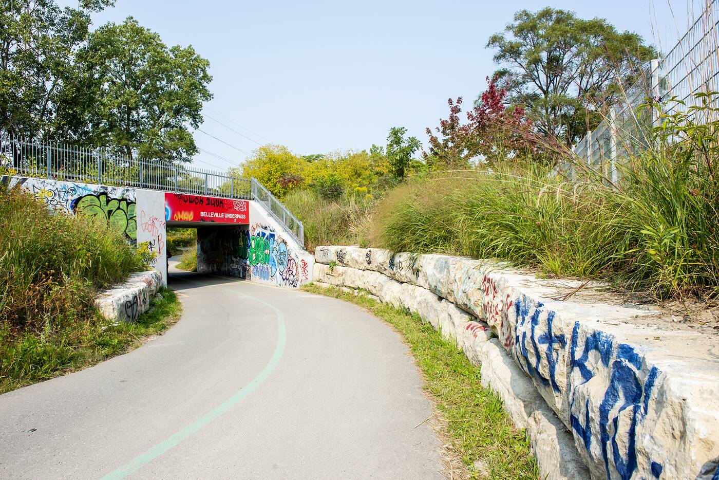 lower don river trail