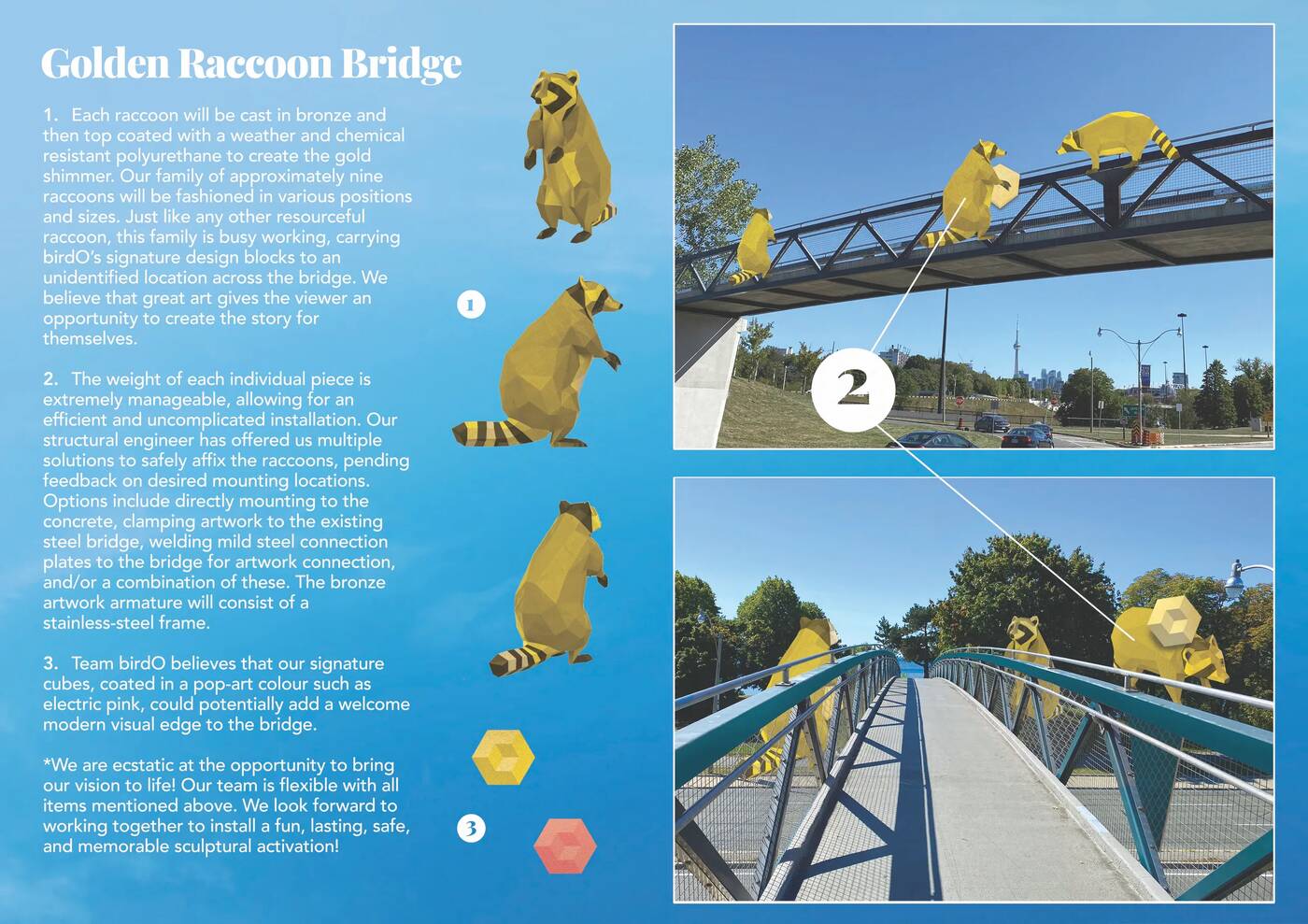 raccoon bridge toronto