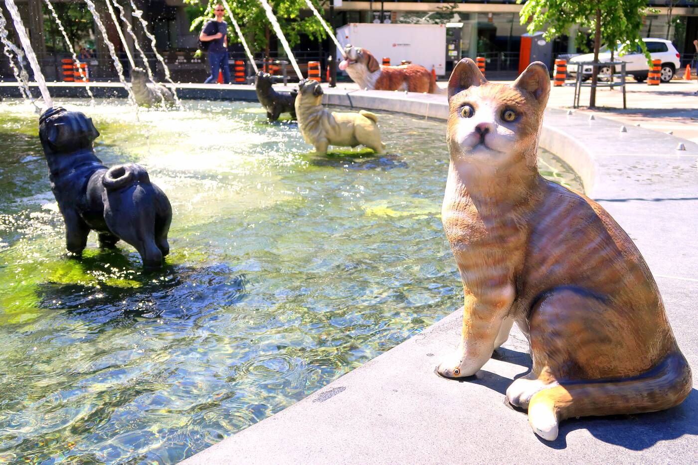 dog fountain toronto