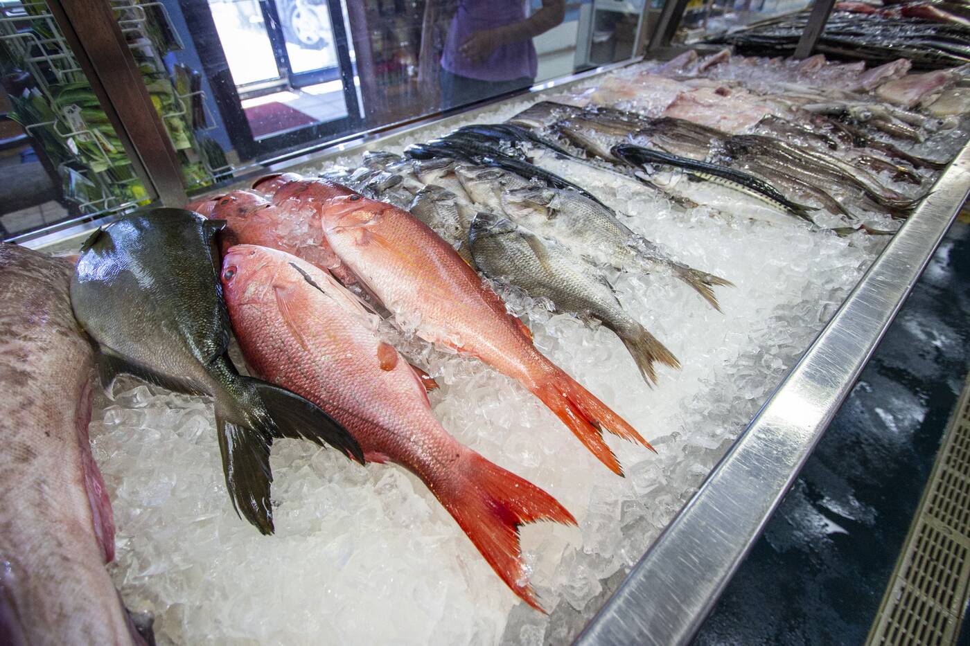 Fishmonger Toronto