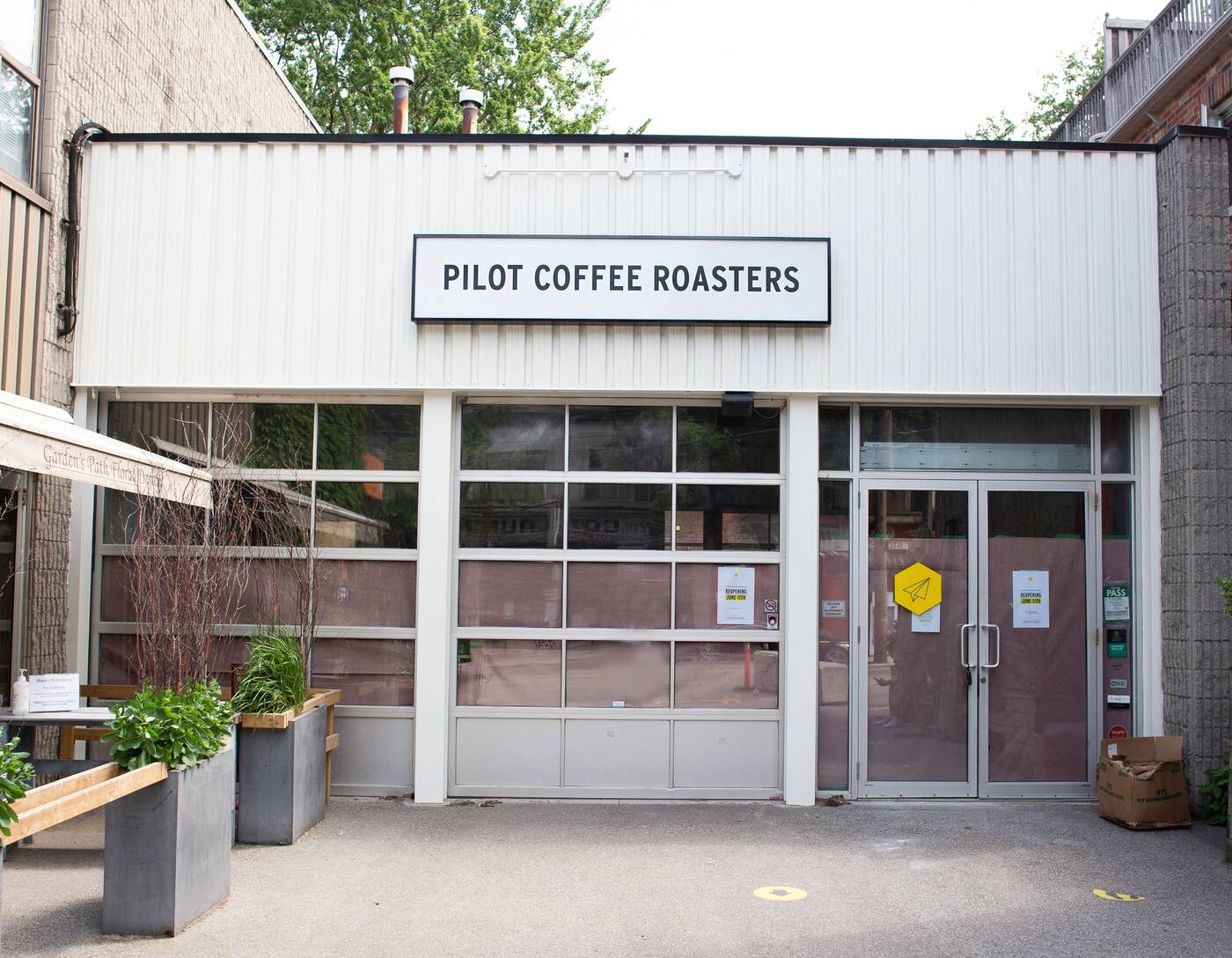 pilot coffee roasters