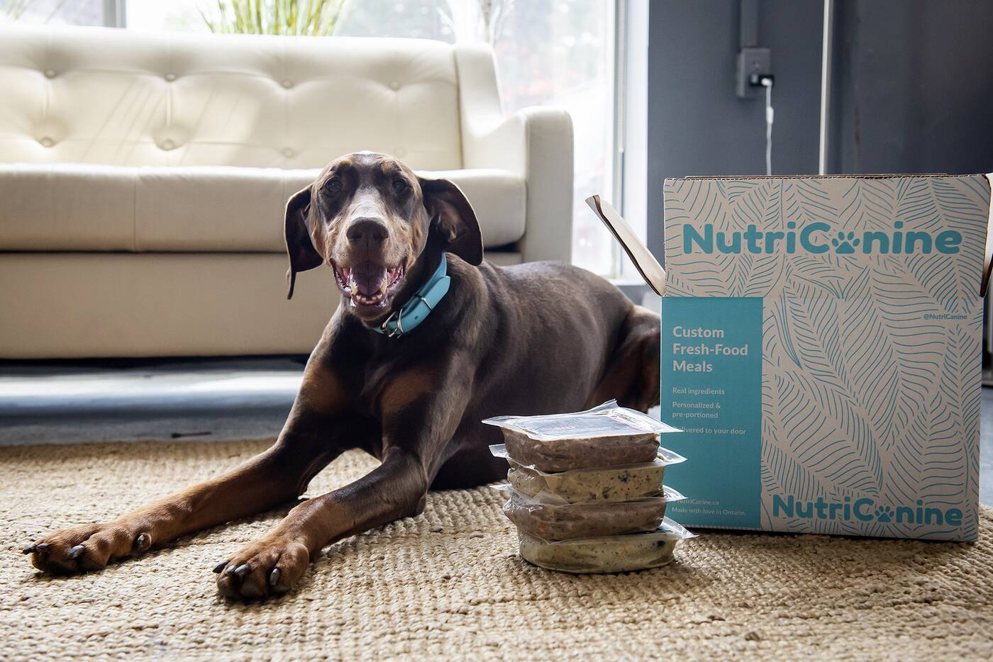 NutriCanine is giving away free samples on one day only