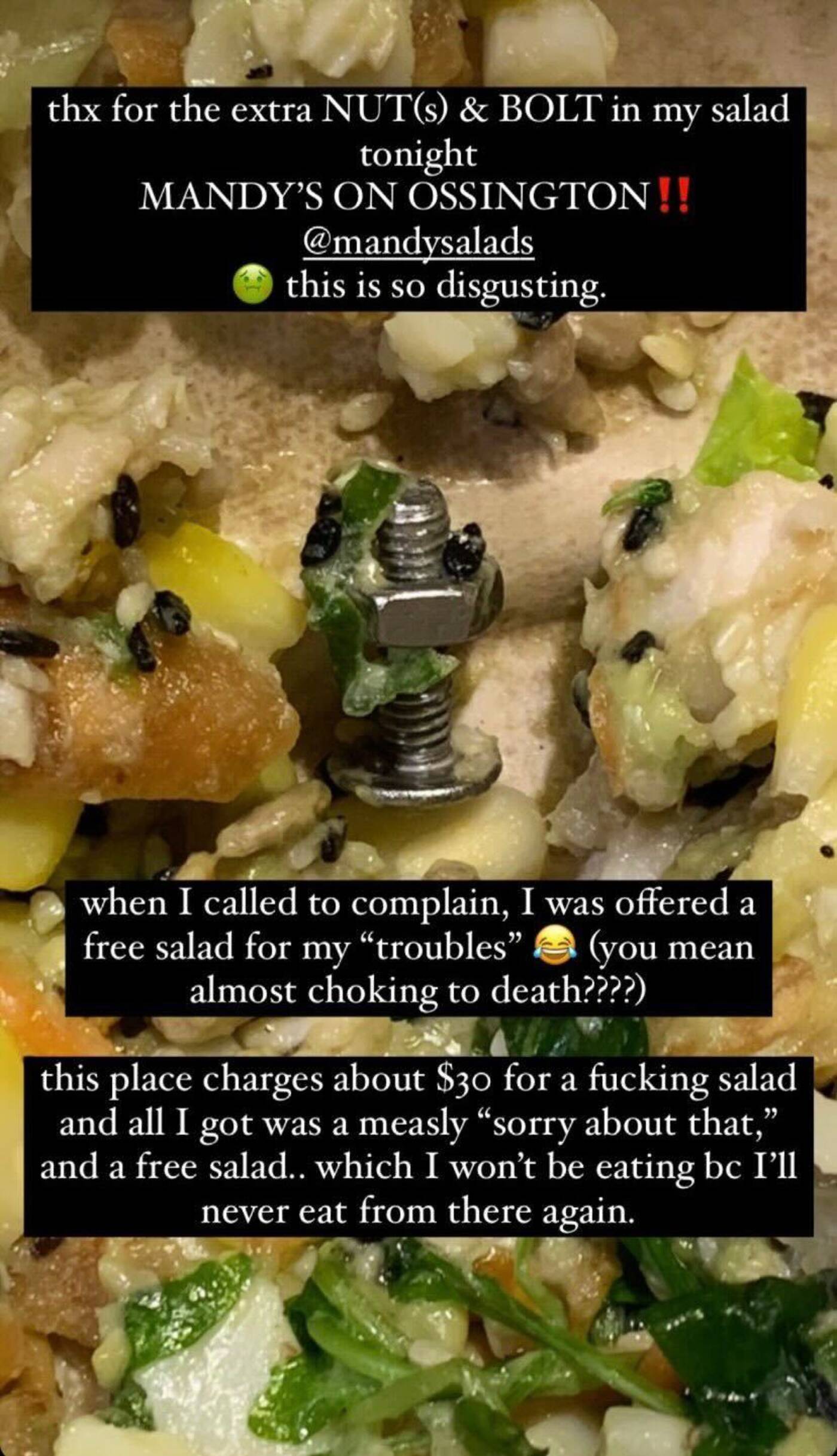 mandys salad toronto