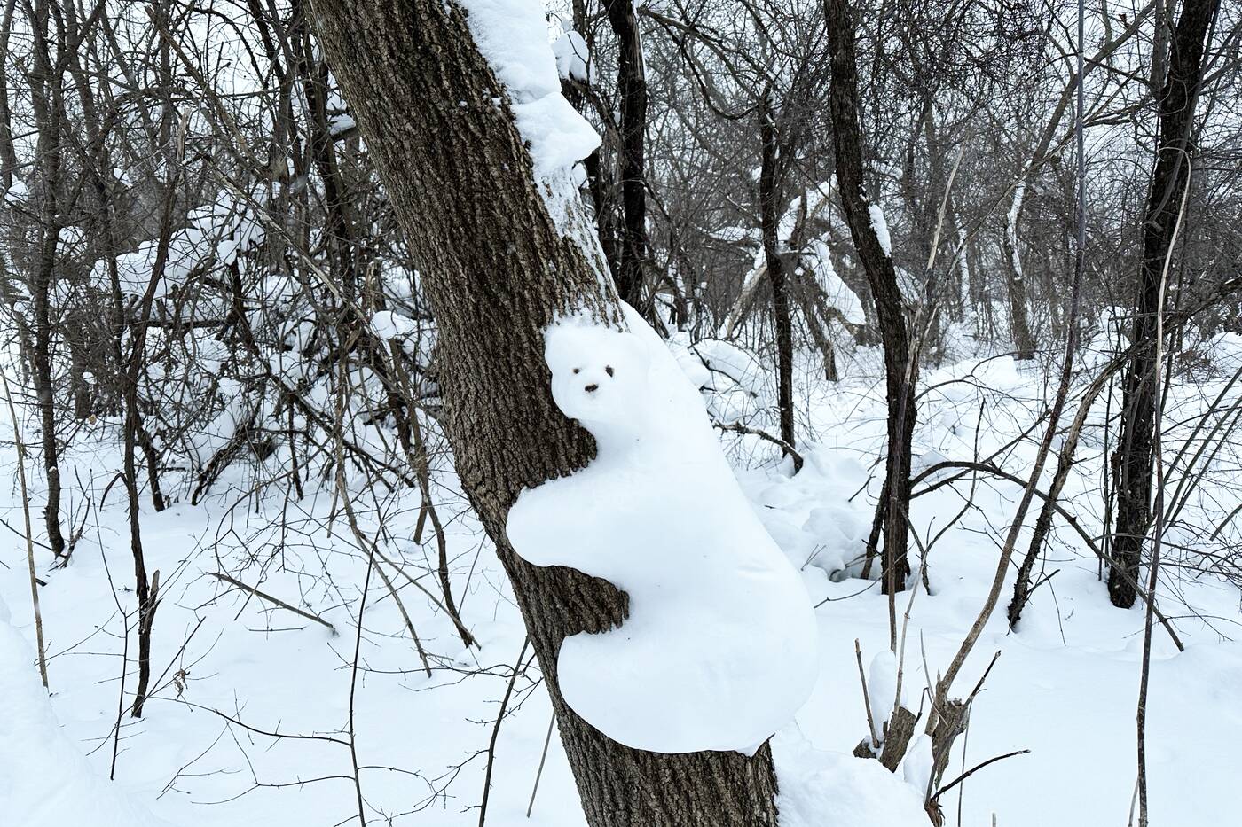 Kichi Sibi Snow Bear