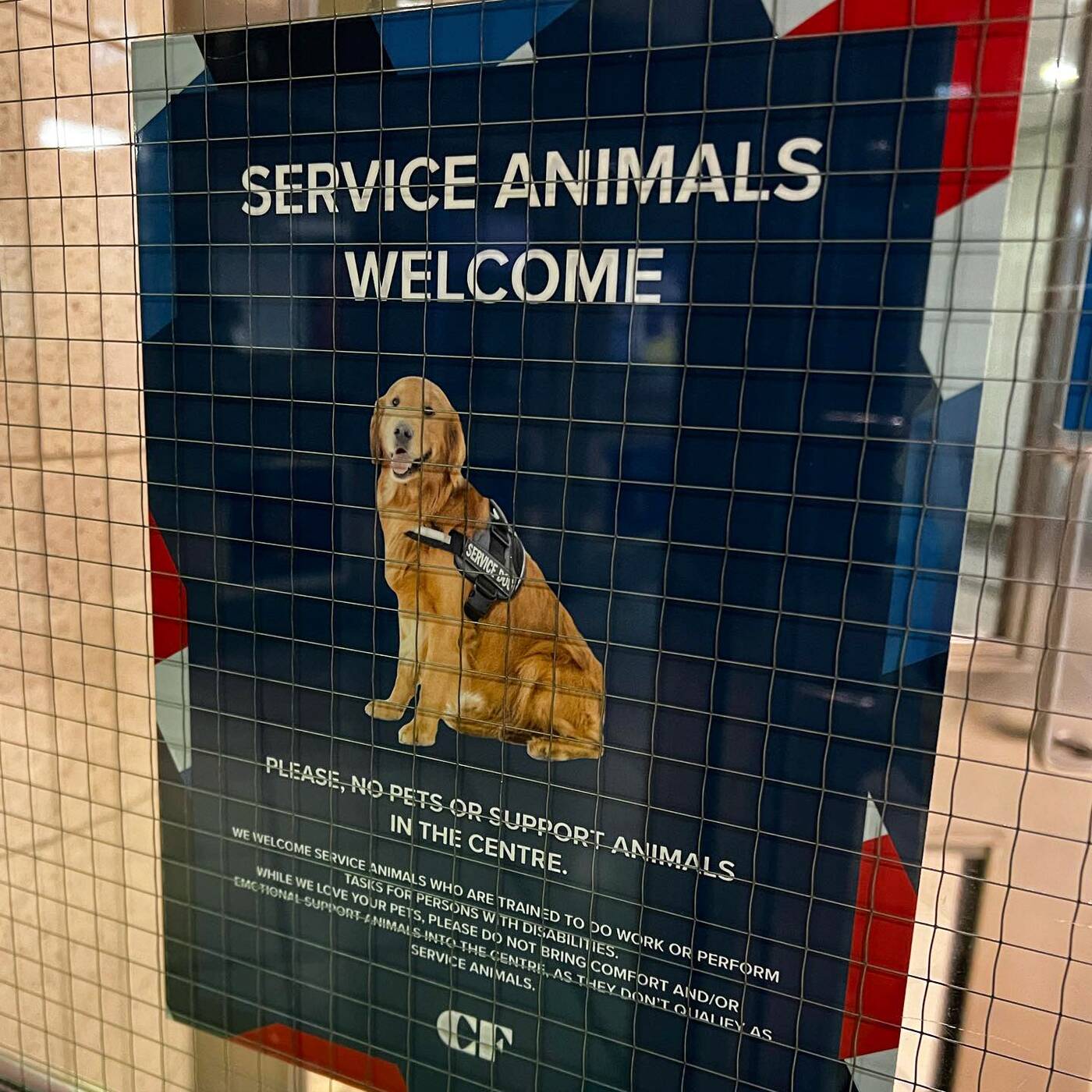 We now finally know if dogs are allowed inside the Toronto Eaton Centre