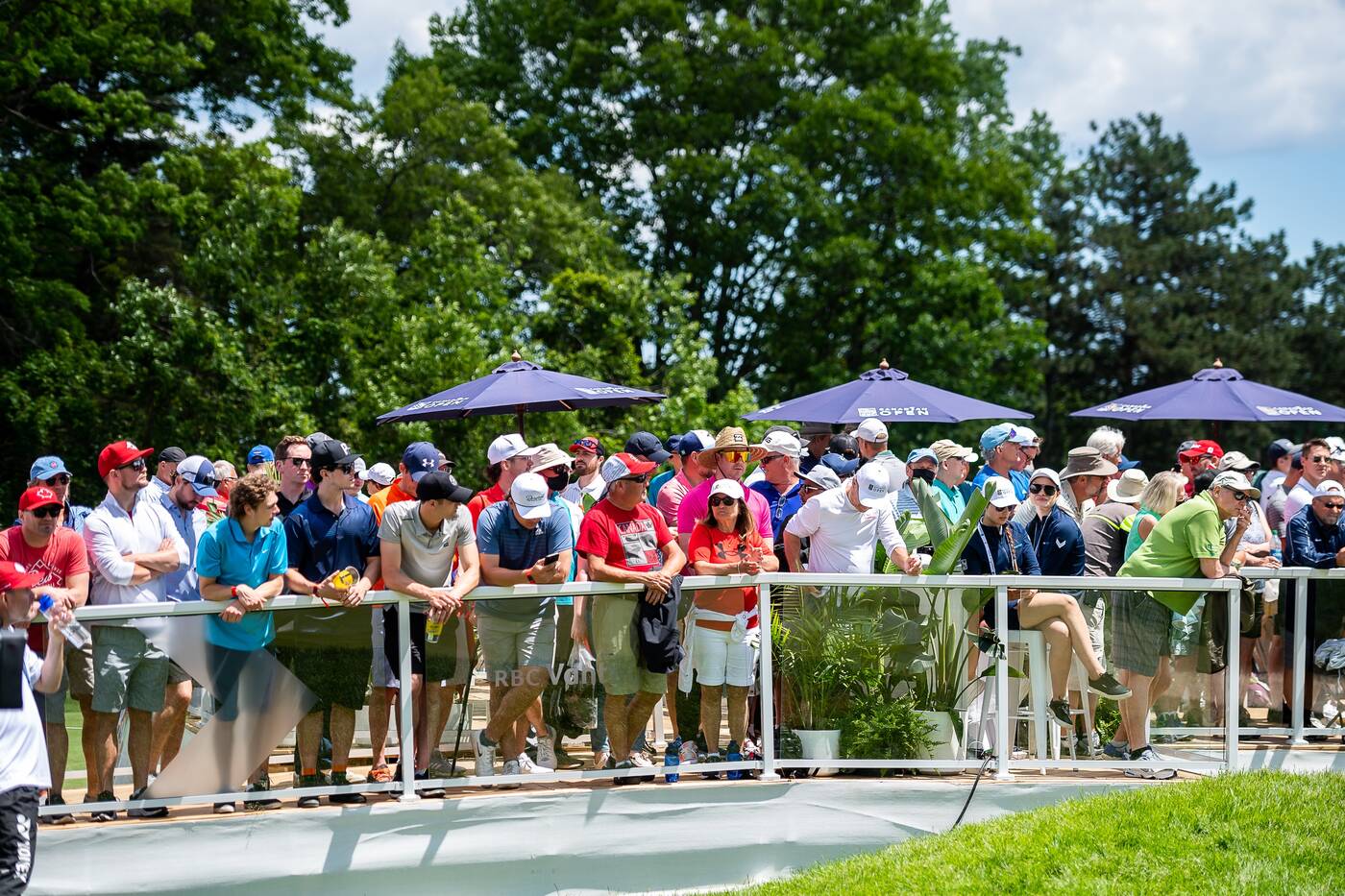 How the 2023 RBC Canadian Open is shaping up to be Toronto's event of
