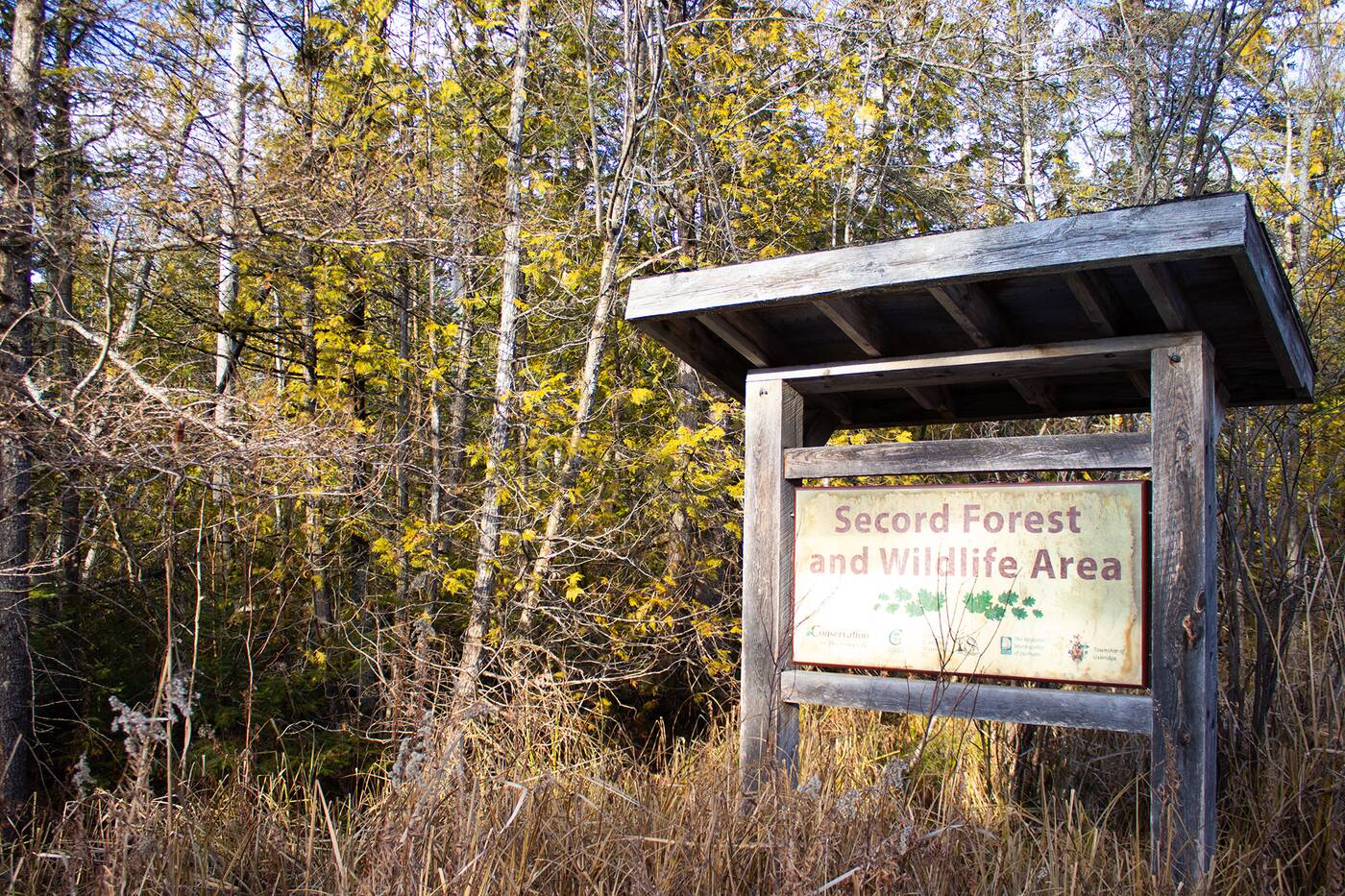 secord forest wildlife area