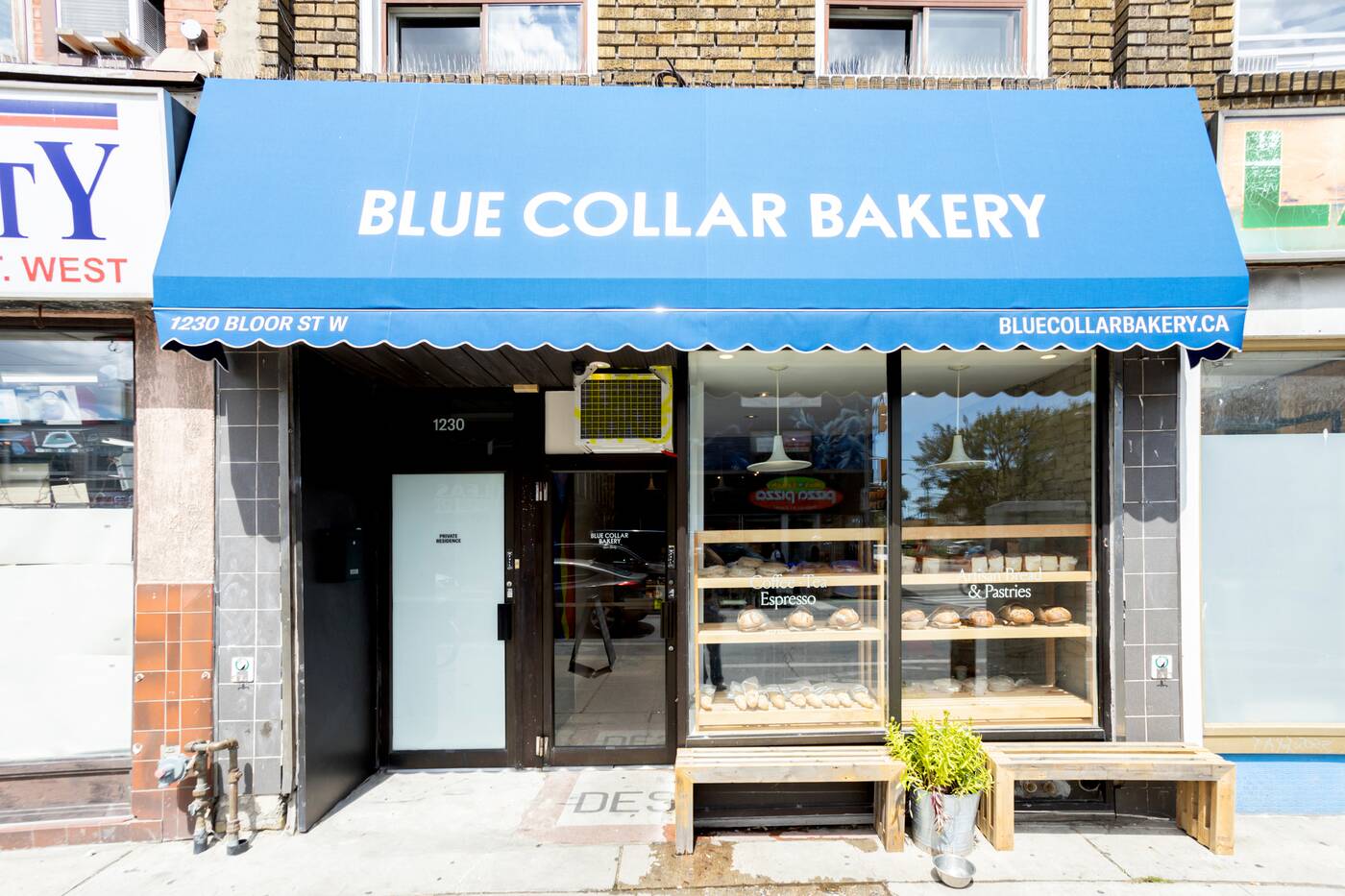 blue collar bakery toronto