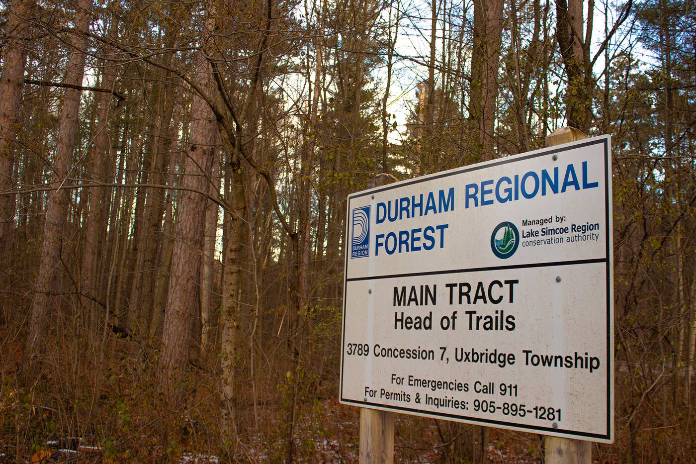 Durham Regional Forest