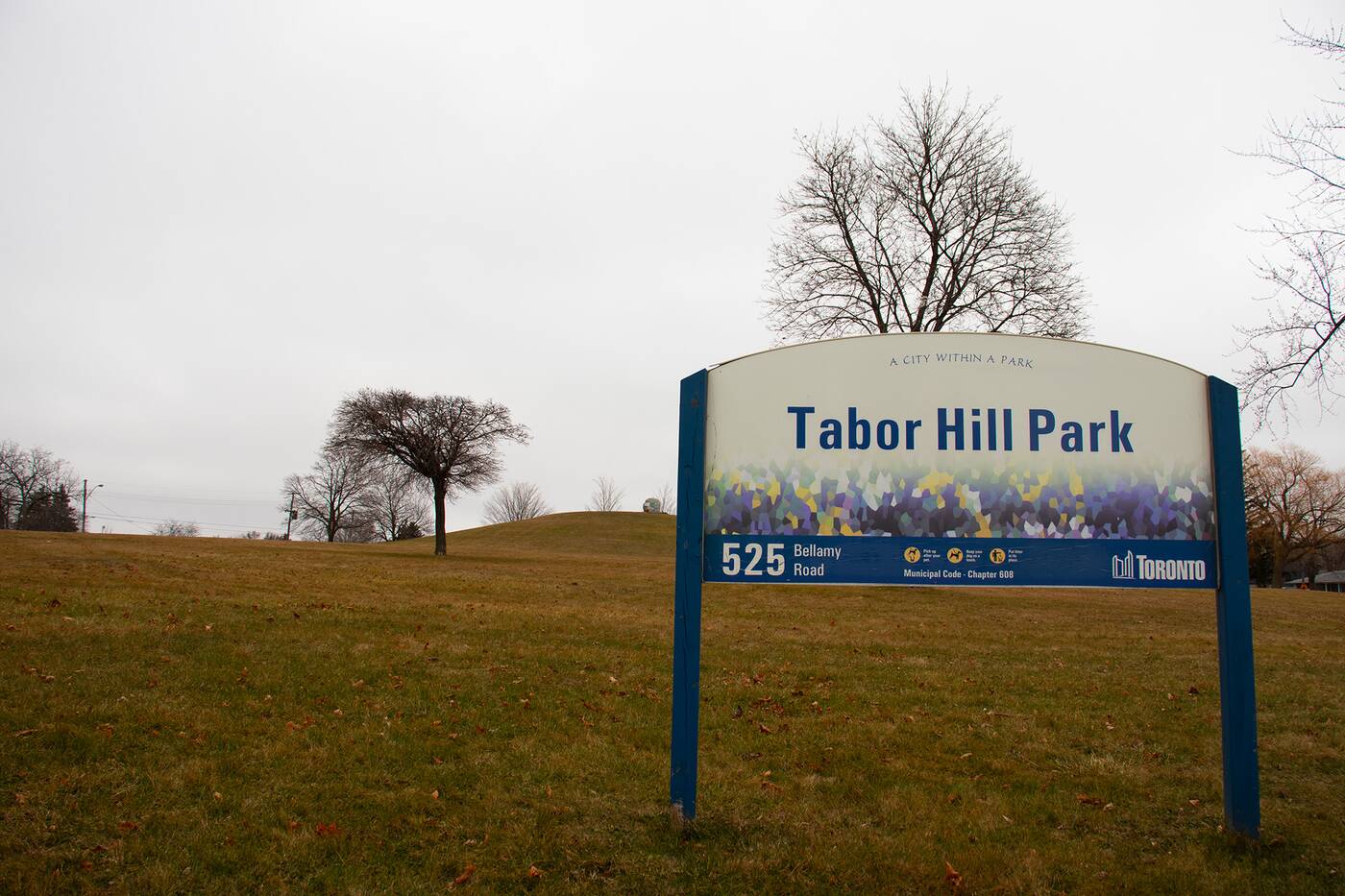tabor hill park