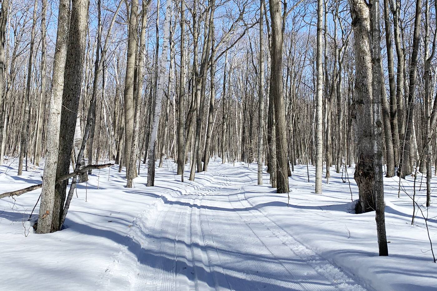 Winter Snow Trails Ontario