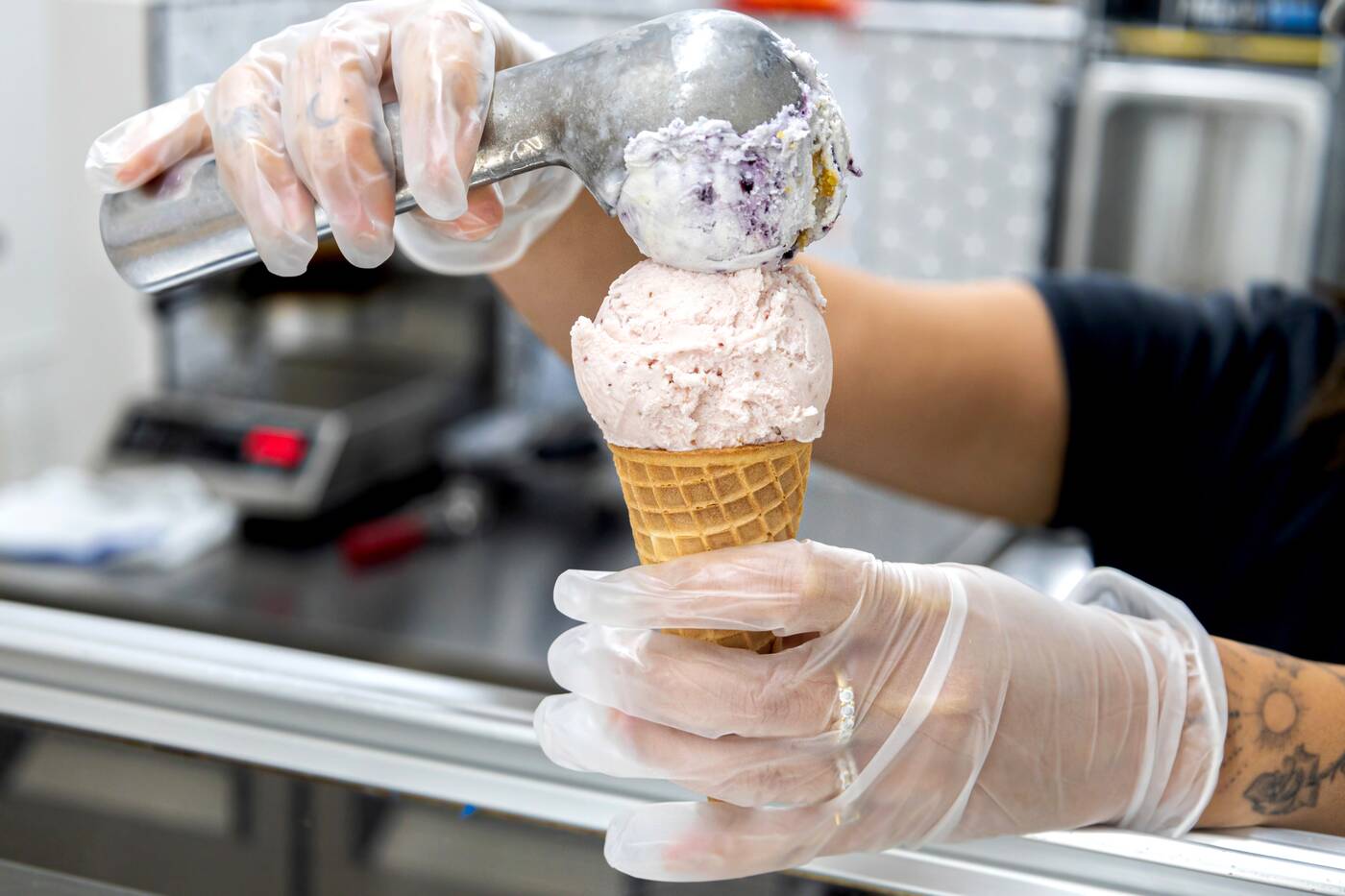 new ice cream gelato toronto